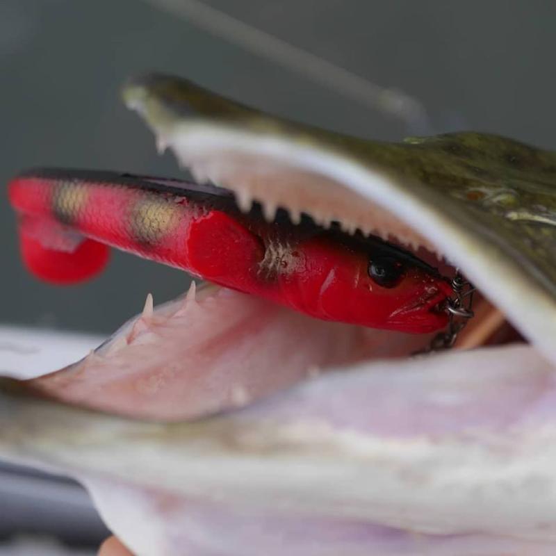 Savage Gear 3D LB goby shad 20