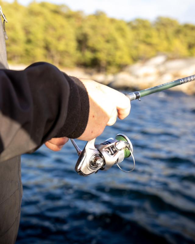 Moulinet Spinning Daiwa 23 Revros