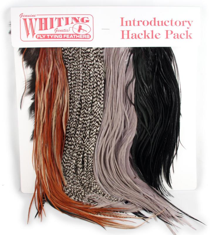 Whiting Introductory Pack: Saddles, Whiting