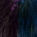 Grizzly Pardo Purple & Kingfisher Blue