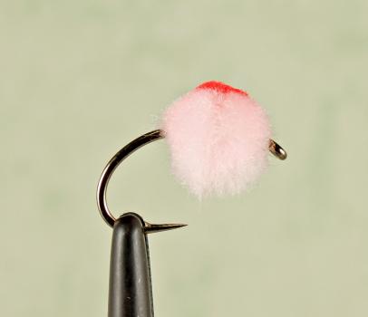 Roe Bug Pink