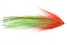 Vision Parrot Pike Fly