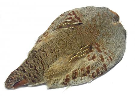 Partridge Skin, Hungarian (Hareline)