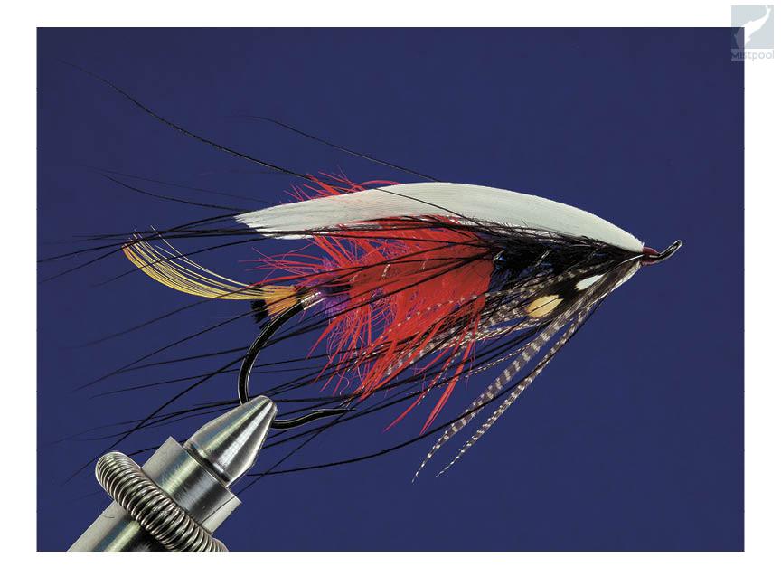 flies for the Atlantics - Spey Pages  Fly tying patterns, Steelhead flies,  Fishing lures art