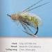 365 Trout Flies: Patterns and recipes for a year of succesful fishing
