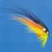 100 Best Flies for Atlantic Salmon