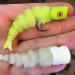 Howitzer Baitfish Popper Heads