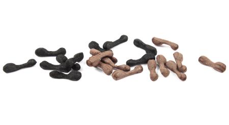 Ultra Ant Bodies