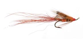 Ally's Shrimp
