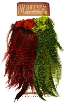 Whiting Predator Pack