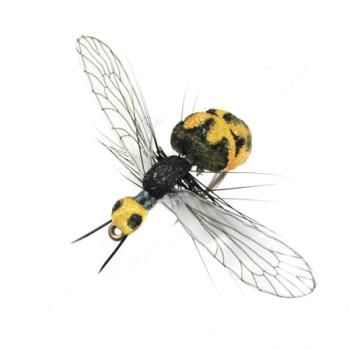 Wasp Black Yellow