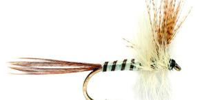 Brown Mayfly