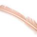 Turkey Biot Quills