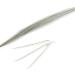 Turkey Biot Quills