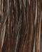 Dark Brown Dun