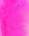 Fl. Pinkki