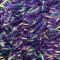 Purple, 10 mm