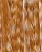 Barred Ginger