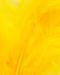 Sunburst Yellow