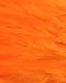 Oranssi (hot)