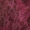 Speckled Pink