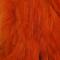 Brynt Orange