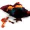 Indian Crow Red