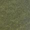 Olive (dark)