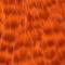 Grizzly Orange (ljus)