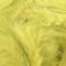 Golden Yellow Olive