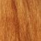 Rost (orangutan)