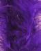 Purppura