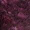 Grizzly Purppura