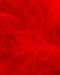 Punainen / Scarlet