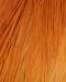 Ginger (medium)