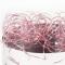 Pink (ljus)