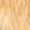 Ginger (medium)