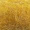 Golden Yellow