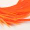 Fl. Hot Orange