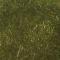 Olive (dark)