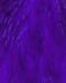 Purpur