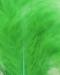 Green Highlander