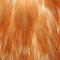 Ginger (medium)