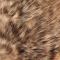 Grizzly Lohenpunainen