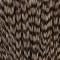 Grizzly Tan Dun