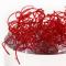 Bloodworm