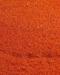 Earth Tone Burnt Orange