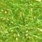 Caddis green