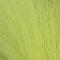 Fl. Yellow