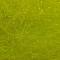 Just Chartreuse